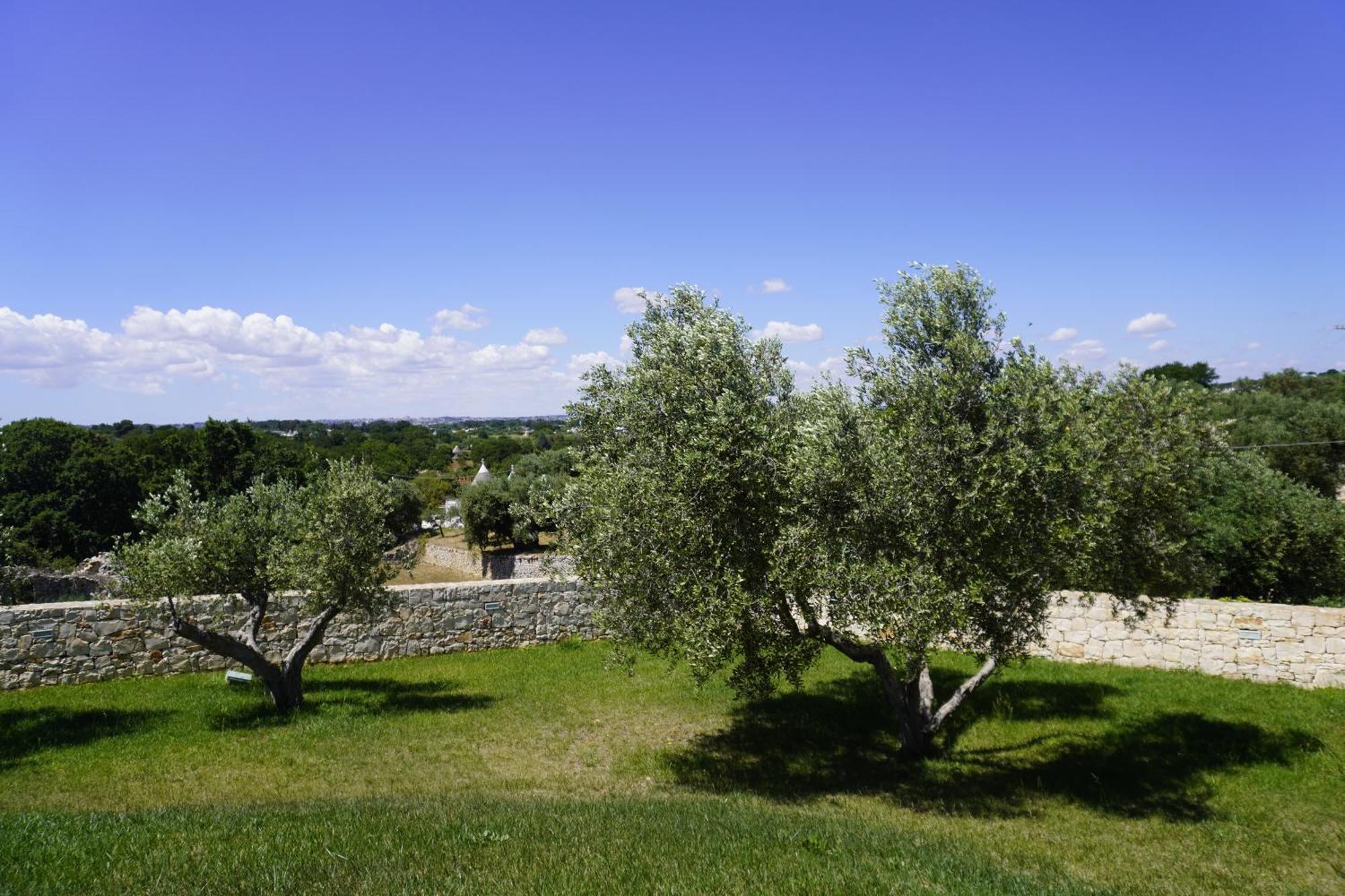 Trullo Amico Βίλα Cisternino Εξωτερικό φωτογραφία
