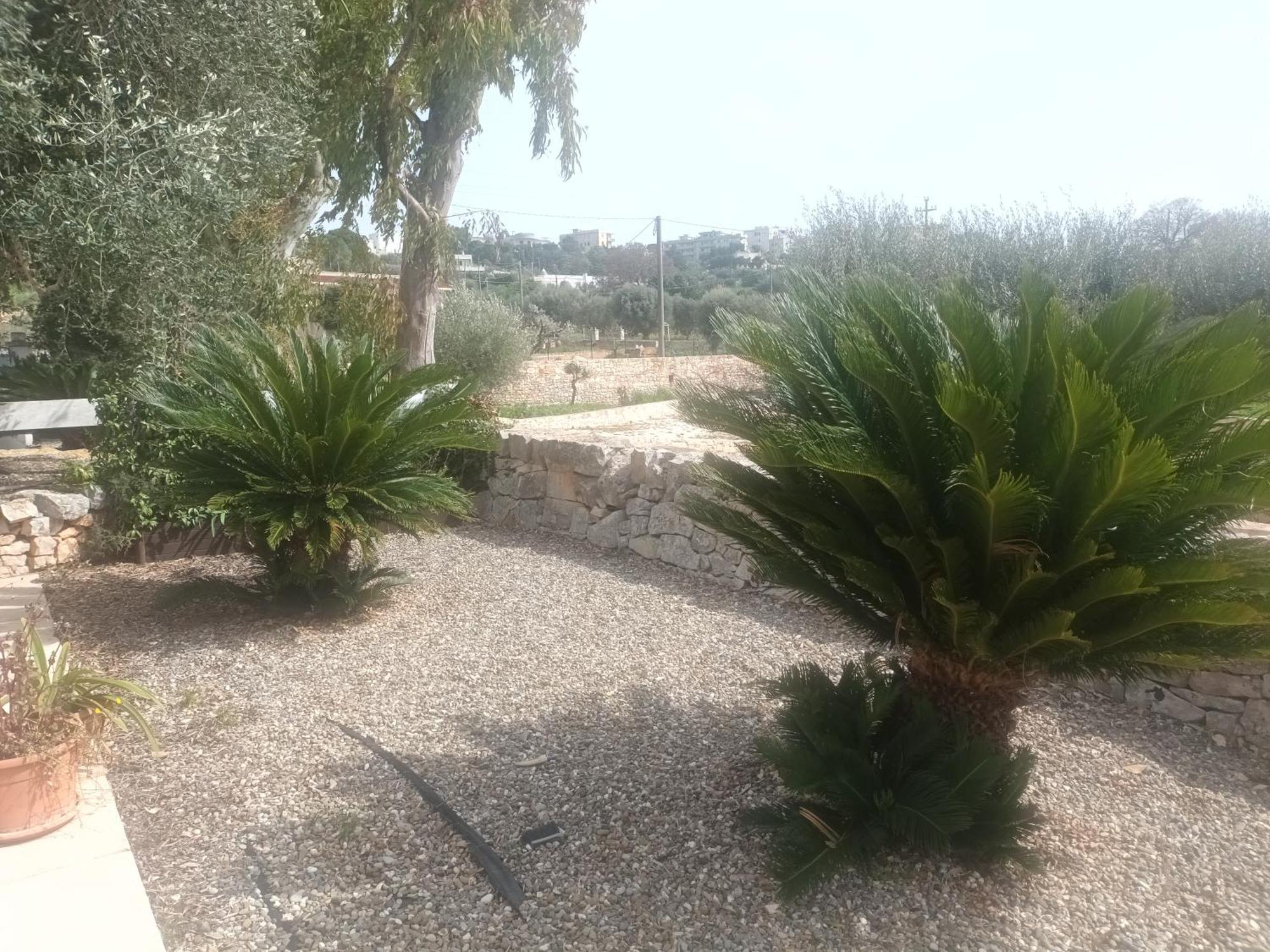 Trullo Amico Βίλα Cisternino Εξωτερικό φωτογραφία